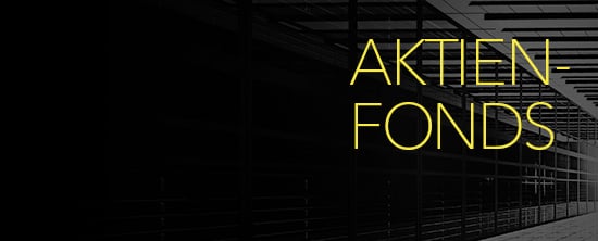 EQUITY_FUNDS_category-header_550x222 - HS_300x121_DE